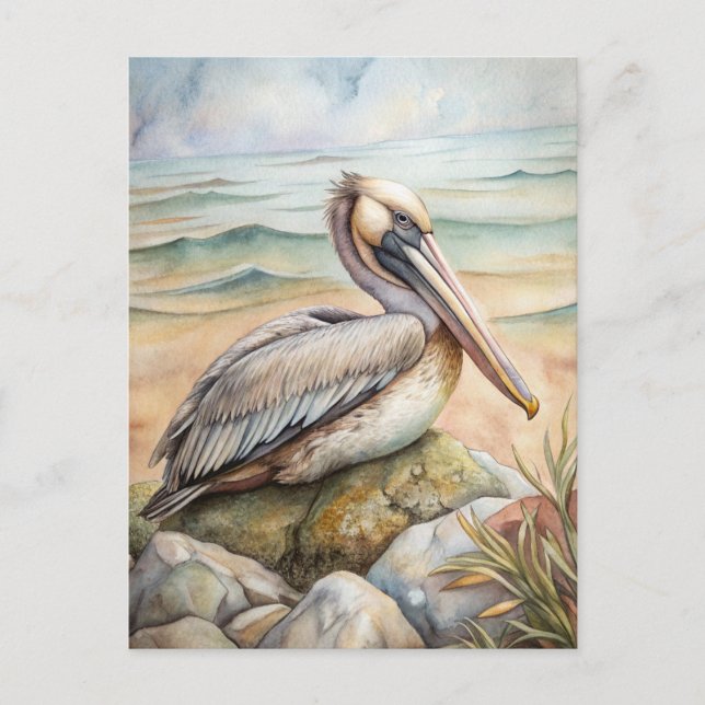 Pelican on the Beach Postcard (Front)