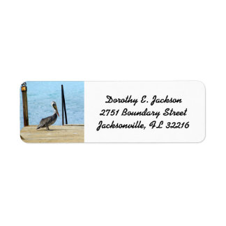 Pelican on the pier, Curacao, Photo Return Address