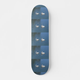 pelican pair skateboard