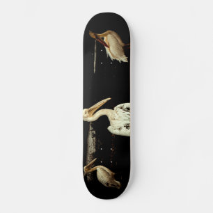 Pelican Party Gathering at River Bank Skateboard