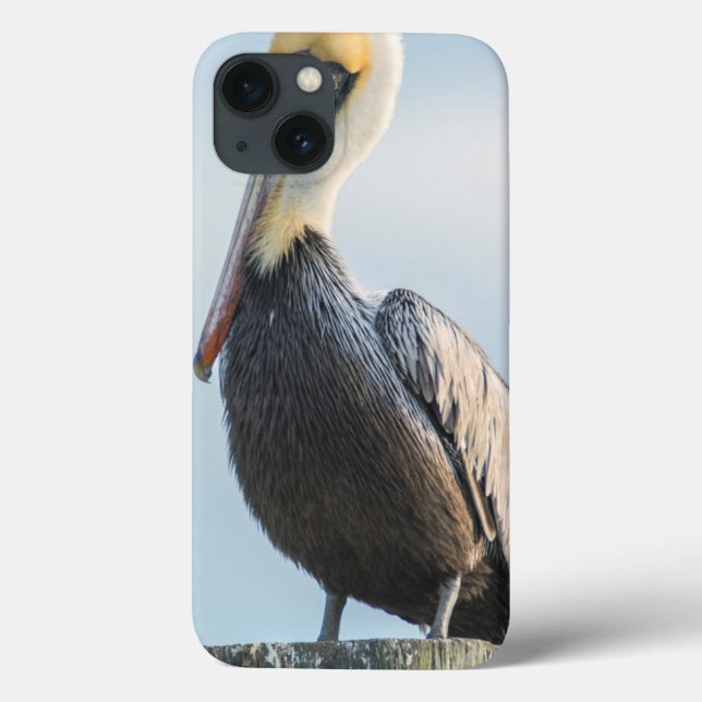 Pelican perched on pylon Case-Mate iPhone case (Back)
