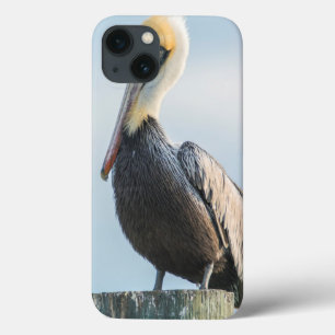 Pelican perched on pylon iPhone 13 case