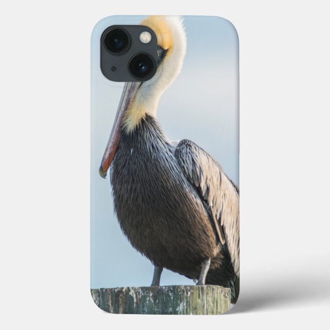 Pelican perched on pylon Case-Mate iPhone case (Back)