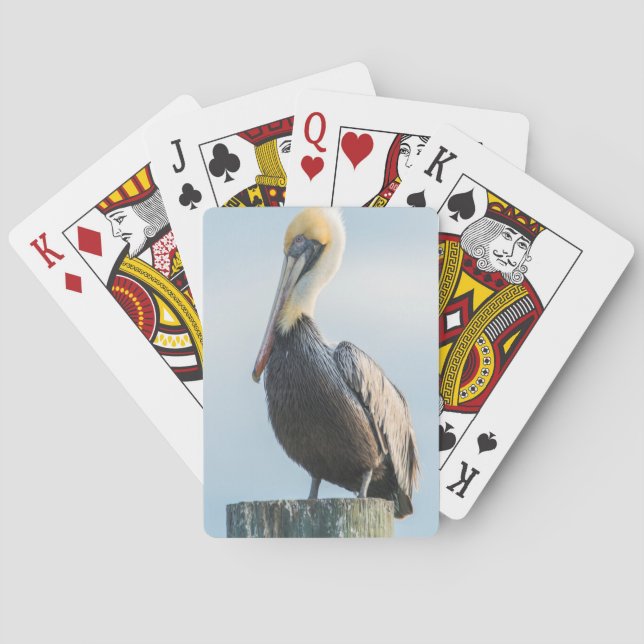 Pelican perched on pylon playing cards (Back)