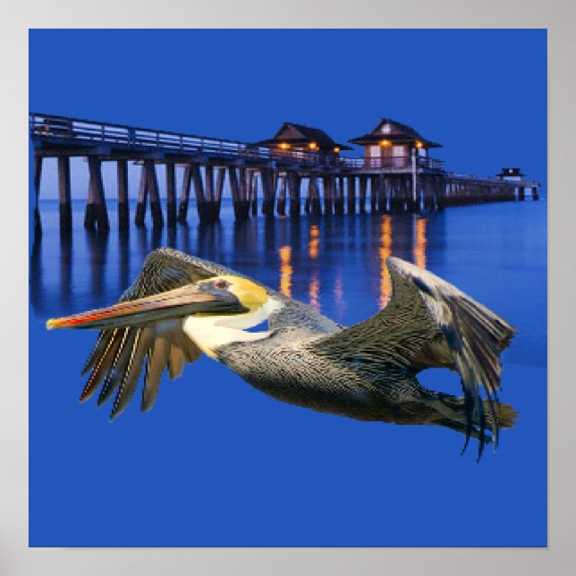 Pelican Pier Poster (Front)