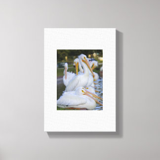 Pelican Pile Art Canvas