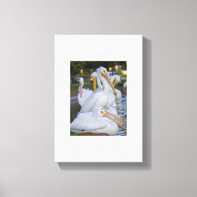 Pelican Pile Art Canvas Print (Front)