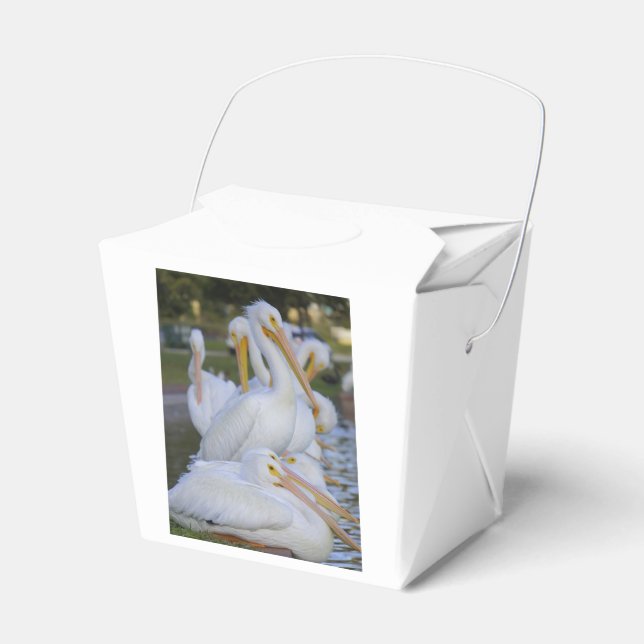 Pelican Pile Favour Box (Front Side)