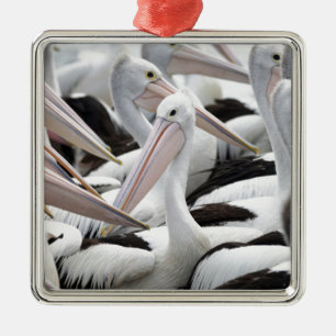 Pelican Pod Metal Tree Decoration