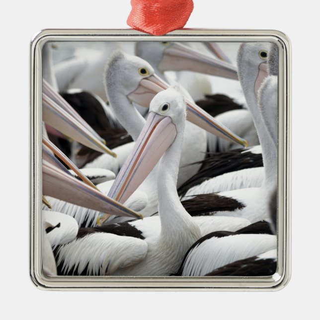 Pelican Pod Metal Tree Decoration (Front)
