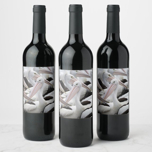 Pelican Pod Wine Label (Bottles)
