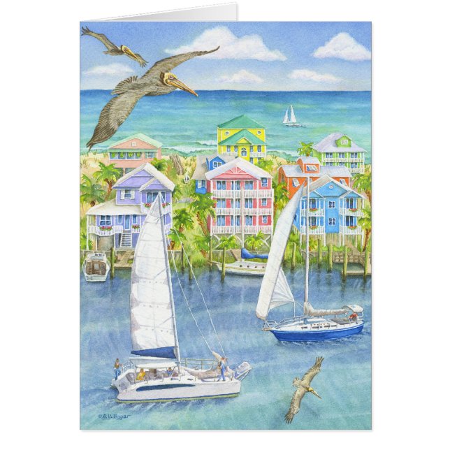 Pelican Point of View (Front)