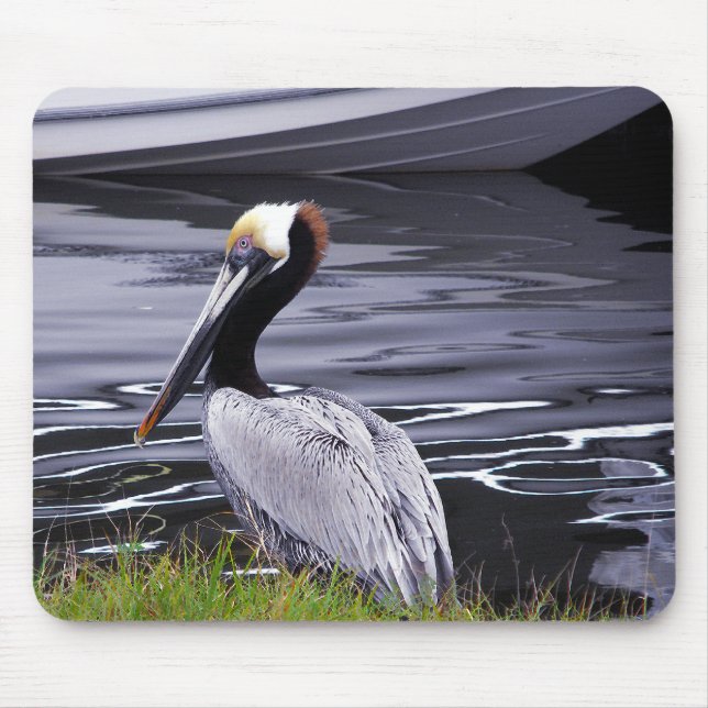 Pelican Poser Mouse Mat (Front)