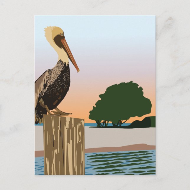 Pelican Postcard (Front)