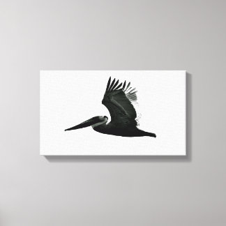 Pelican Print - 'In Flight'