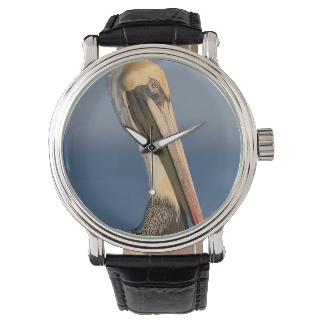 Pelican Profile Watch (Front)