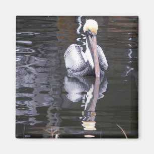 Pelican Reflecting Magnet