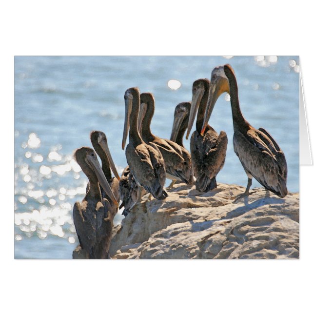 Pelican Rock (Front Horizontal)