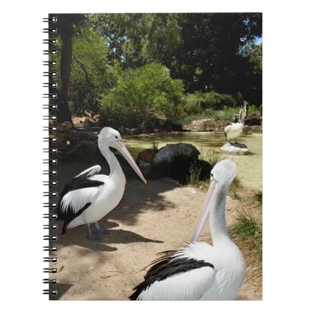 Pelican Sanctuary, Notebook (Front)