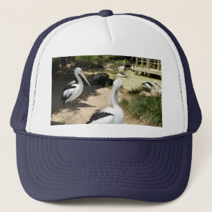 Pelican Sanctuary, Truckers Hat