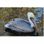 Pelican sculpture standing photo sculpture<br><div class="desc">Brown pelican on the water</div>