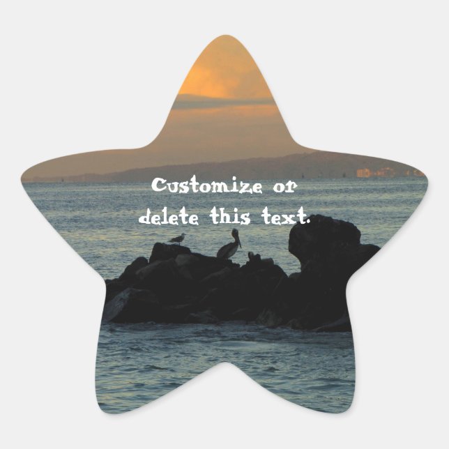 Pelican Silhouette; Customisable Star Sticker (Front)
