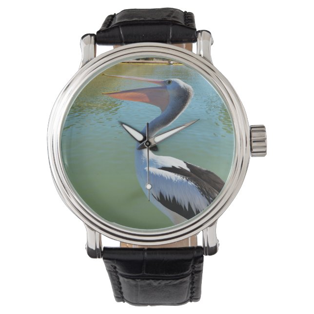 Pelican Singing A Song, Watch (Front)
