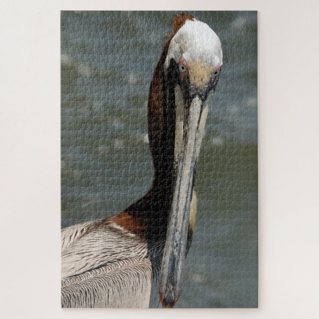 Pelican staring back at me card jigsaw puzzle (Vertical)