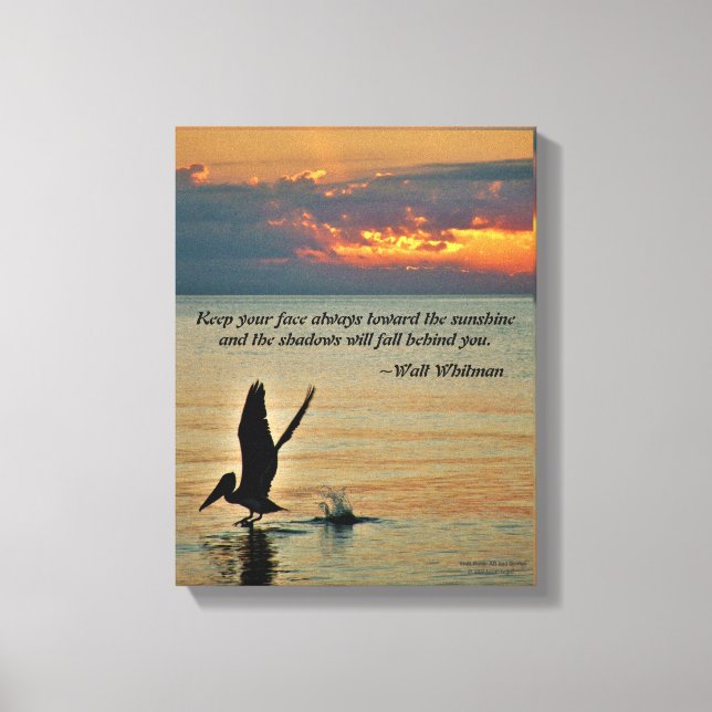 Pelican take off at sunset Gulf Coast Florida Canvas Print (Front)