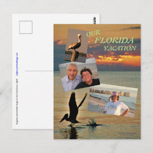 Pelican take off at sunset Gulf Coast Florida Postcard