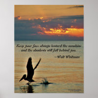 Pelican take off at sunset Gulf Coast Florida