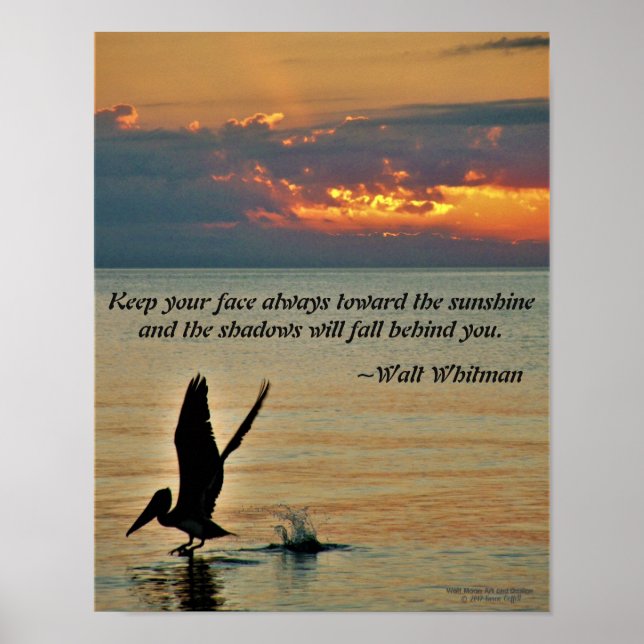 Pelican take off at sunset Gulf Coast Florida Poster (Front)