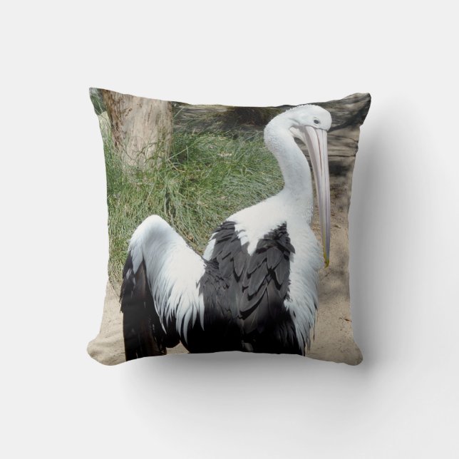 Pelican Time To Preen, Cushion (Front)