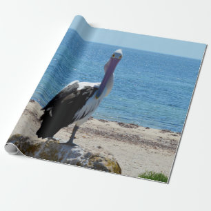 Pelican With The "Look", Gift Wrap Paper