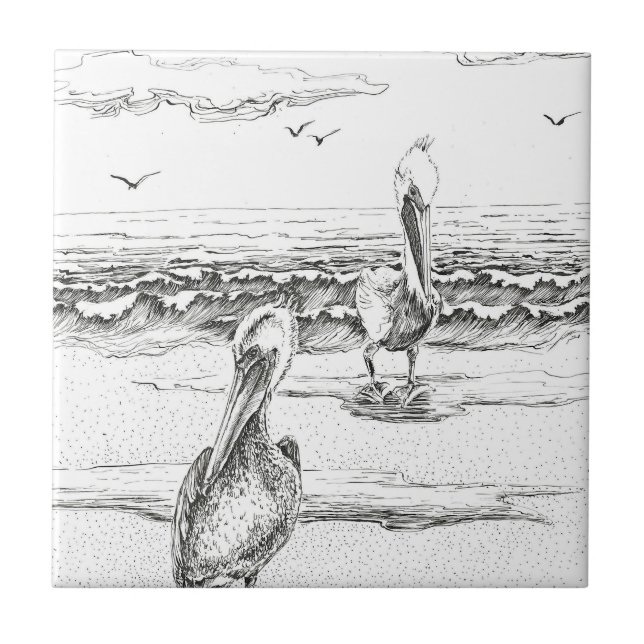 Pelican Woorim beach, Australia, Queensland Tile (Front)