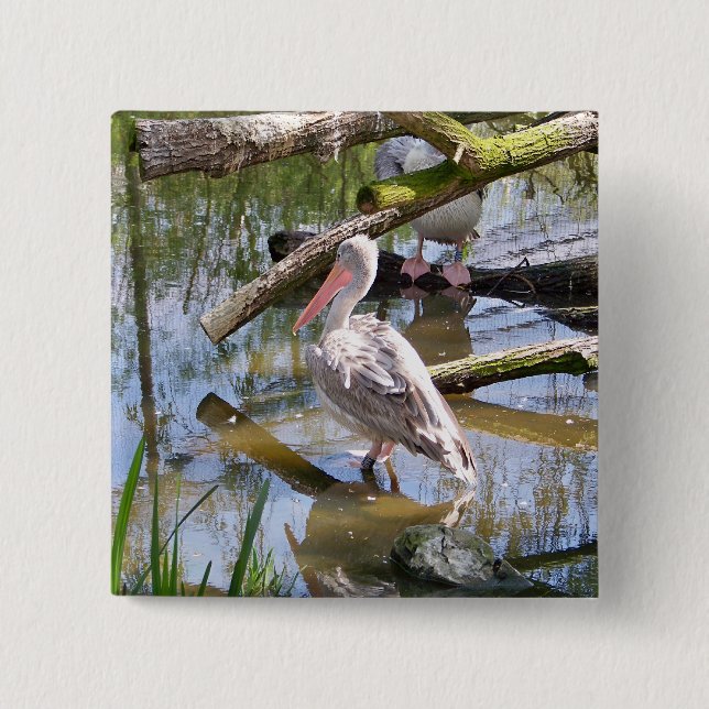 PELICANS 15 CM SQUARE BADGE (Front)