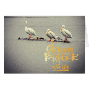 Pelicans and Seagull Dream Bigger Inspiring