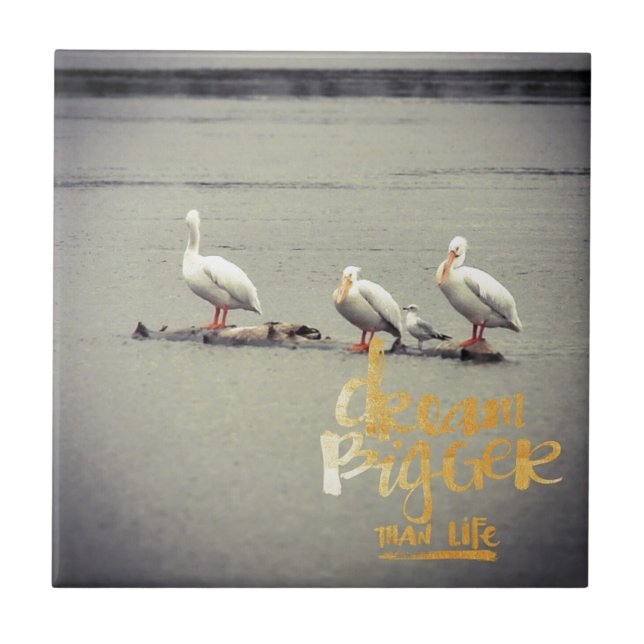 Pelicans and Seagull Dream Bigger Tile (Front)