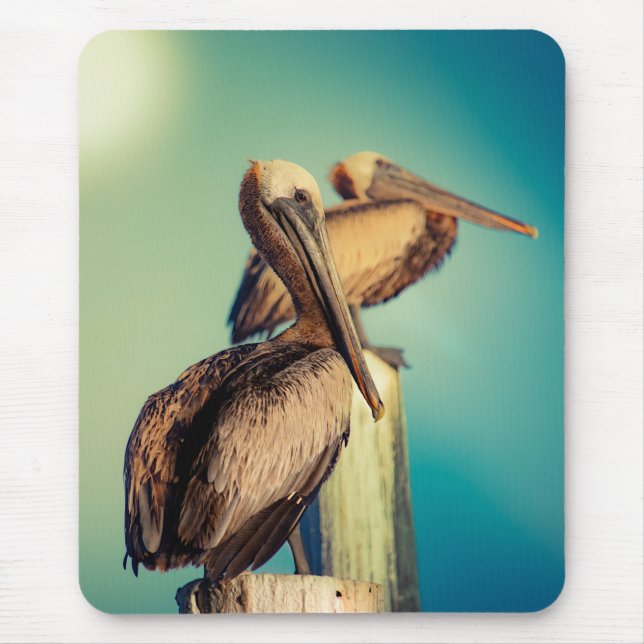 Pelicans at Dawn  Mouse Mat (Front)
