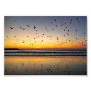 Pelicans at Sunset - Venice Beach, CA Photo Print