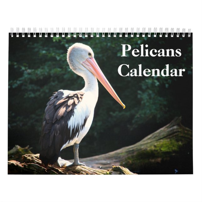 Pelicans Bird 2026 Calendar (Cover)