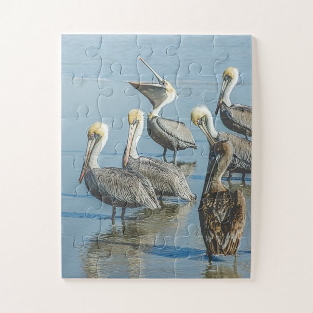 Pelicans Bird Nature Beach Oversized Jigsaw Puzzle (Vertical)
