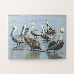 Pelicans Bird Nature Beach Oversized Jigsaw Puzzle