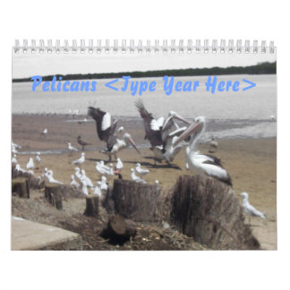 Pelicans Calendar