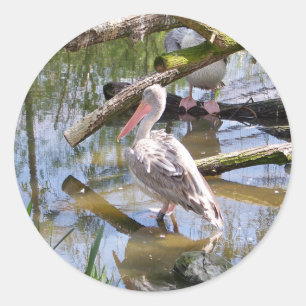 PELICANS CLASSIC ROUND STICKER