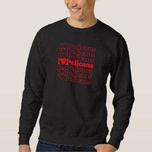 Pelicans Cool Vintage Inspired Bird Watchers Sweatshirt