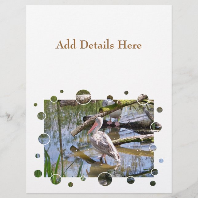 PELICANS FLYER (Front)