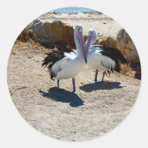Pelicans In Love, Classic Round Sticker