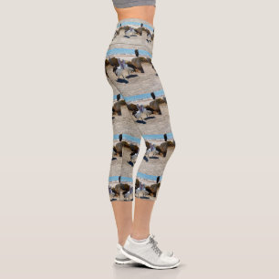 Pelicans In Love, High Waisted Capris Leggings,