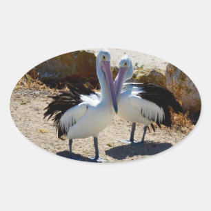 Pelicans In Love, Oval Sticker